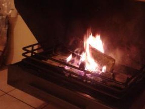 Bospark De Bikkels - Camping Deurne - Image N°20