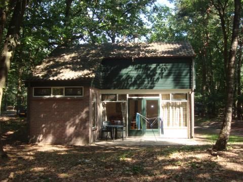 Bospark De Bikkels - Camping Deurne - Image N°24