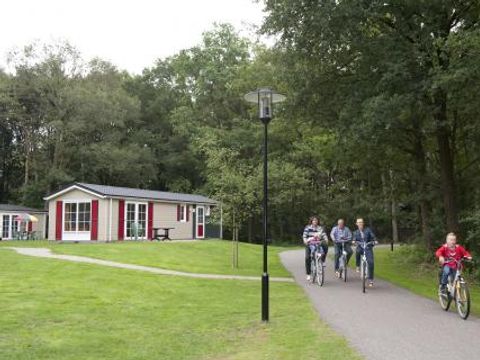 Bospark De Bikkels - Camping Deurne - Image N°3