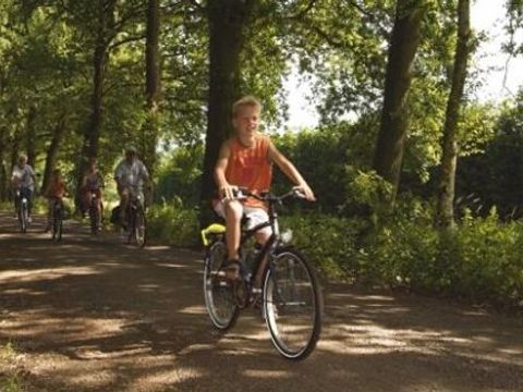 Bospark De Bikkels - Camping Deurne - Image N°11