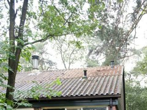Bospark De Bikkels - Camping Deurne - Image N°5