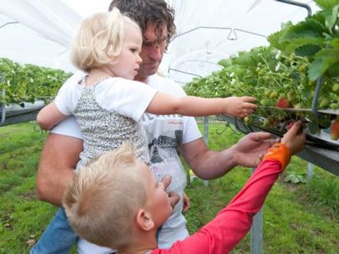 Bospark De Bikkels - Camping Deurne - Image N°17