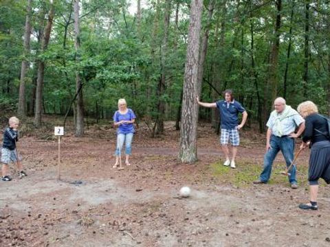 Bospark De Bikkels - Camping Deurne - Image N°9