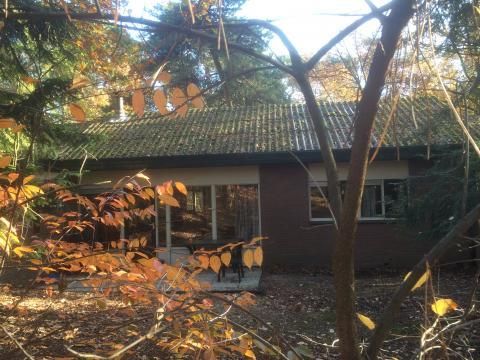 Bospark De Bikkels - Camping Deurne - Image N°32