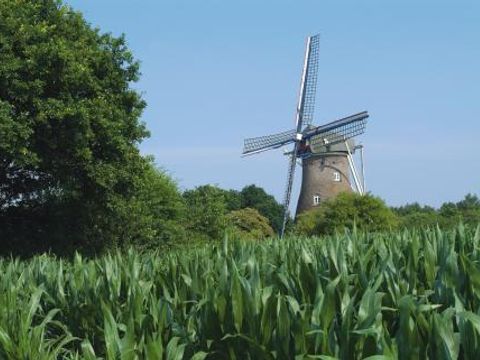 Bospark De Bikkels - Camping Deurne - Image N°15