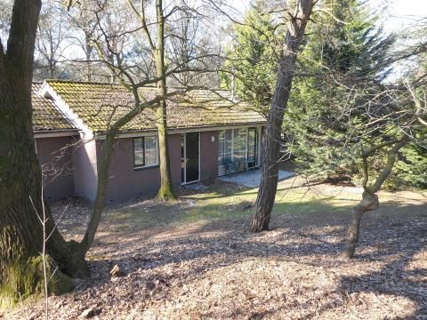 Bospark De Bikkels - Camping Deurne - Image N°29