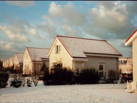 Duinpark De Witte Raaf - Camping Noordwijk - Image N°15