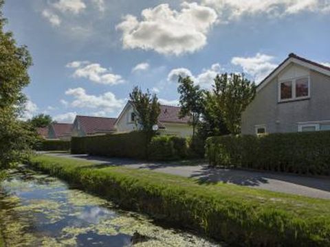 Duinpark De Witte Raaf - Camping Noordwijk - Image N°2
