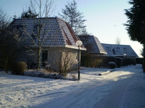 Duinpark De Witte Raaf - Camping Noordwijk - Image N°13