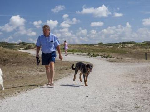 Duinpark De Witte Raaf - Camping Noordwijk - Image N°11