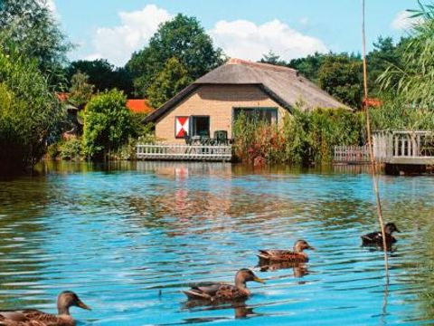 Landal De Veluwse Hoevegaerde - Camping Ermelo - Image N°3