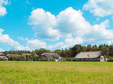 Landal De Veluwse Hoevegaerde - Camping Ermelo - Image N°5