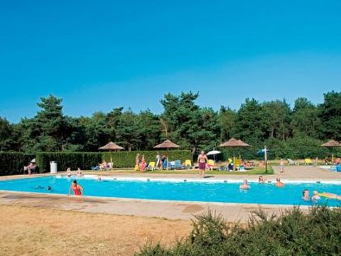 Landal De Veluwse Hoevegaerde - Camping Ermelo - Image N°2
