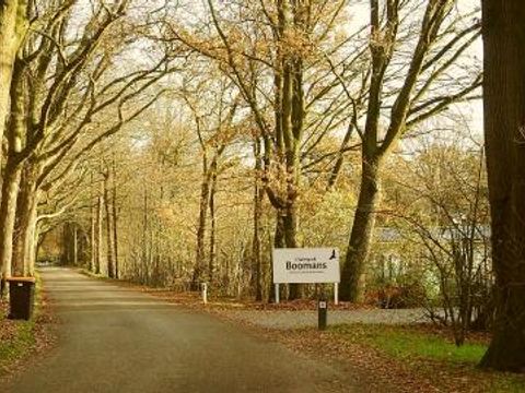 Chaletpark Boomans - Camping Doetinchem - Image N°5