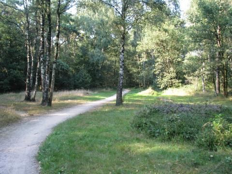 Chaletpark Boomans - Camping Doetinchem - Image N°10