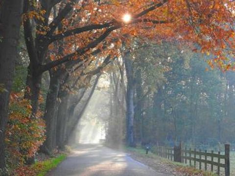 Chaletpark Boomans - Camping Doetinchem - Image N°6