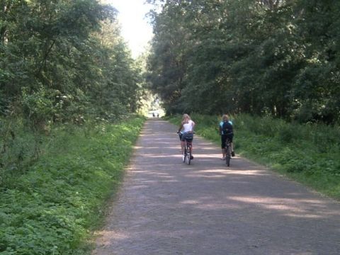 Chaletpark Boomans - Camping Doetinchem - Image N°2