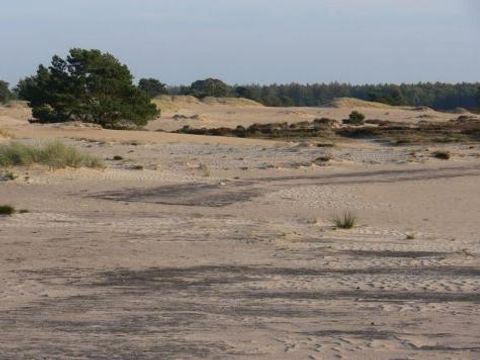 Vodatent Camping Alkenhaer - Camping Ooststellingwerf - Image N°38