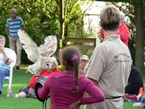 Vodatent Camping Alkenhaer - Camping Ooststellingwerf - Image N°17