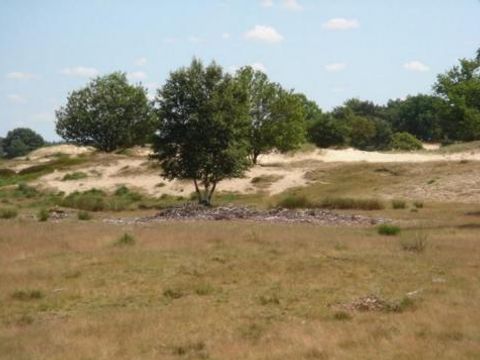Vodatent Camping Alkenhaer - Camping Ooststellingwerf - Image N°41