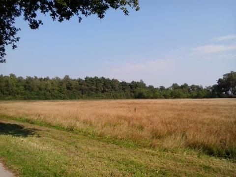 Vodatent Camping Alkenhaer - Camping Ooststellingwerf - Image N°31