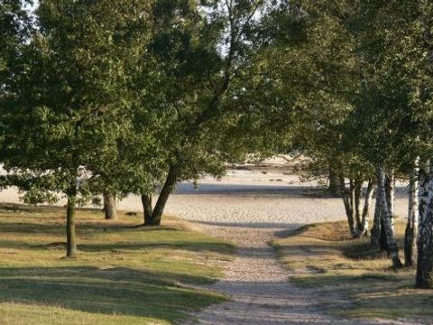 Vodatent Camping Alkenhaer - Camping Ooststellingwerf - Image N°34