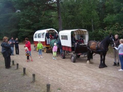 Vodatent Camping Alkenhaer - Camping Ooststellingwerf - Image N°13