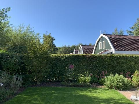 Residence Koningshof - Camping Bergen - Image N°13