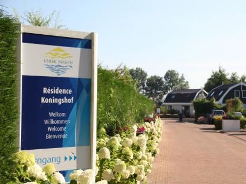 Residence Koningshof - Camping Bergen - Image N°5