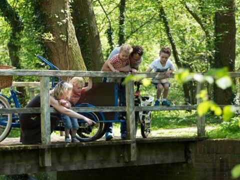 Camping het Wieskamp - Camping Winterswijk - Image N°21