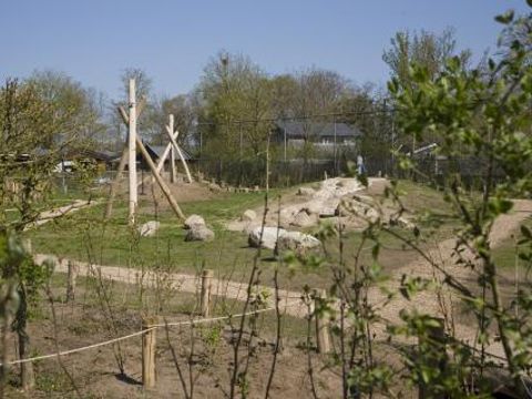 Camping het Wieskamp - Camping Winterswijk - Image N°19