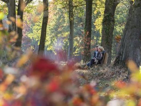 Vakantiepark De Kattenberg - Camping Winterswijk - Image N°5