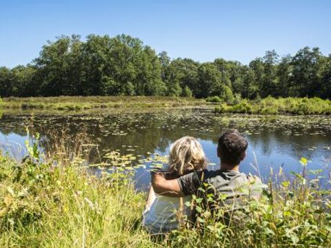 Vakantiepark De Kattenberg - Camping Winterswijk - Image N°2