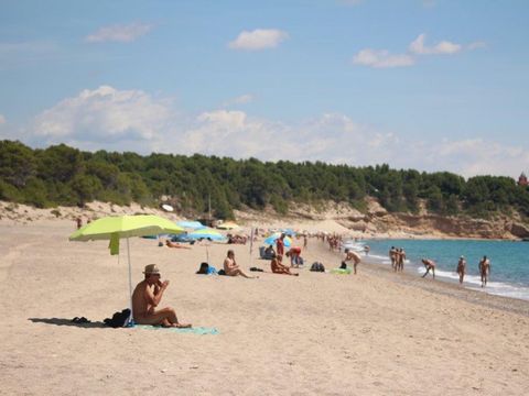 El Templo del Sol - Camping Tarragone - Image N°25