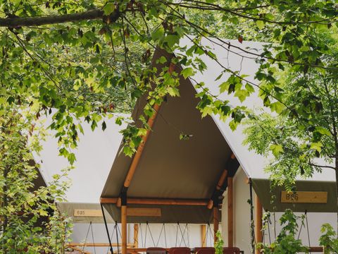 TENTE TOILE ET BOIS 6 personnes - Glamping Family +