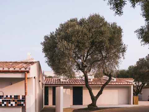 Wecamp Cadaques - Camping Gérone - Image N°19