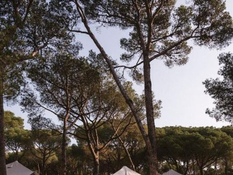 TENTE 2 personnes - Bell Tent