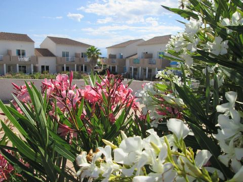 Les Hauts du Maquis - Camping Corse du Nord - Image N°20