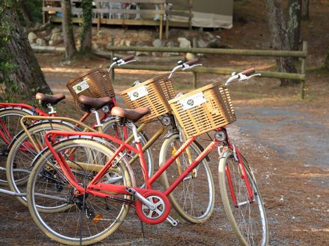 Camping Vacances André Trigano - Domaine de Montcalm - Camping Charente-Maritime - Image N°32