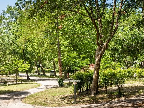 Camping Les Rives du Lac de Vinça - Camping Pyrénées-Orientales - Image N°13