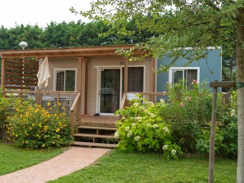 MOBILHOME 6 personnes - Cottage Next XL Superior