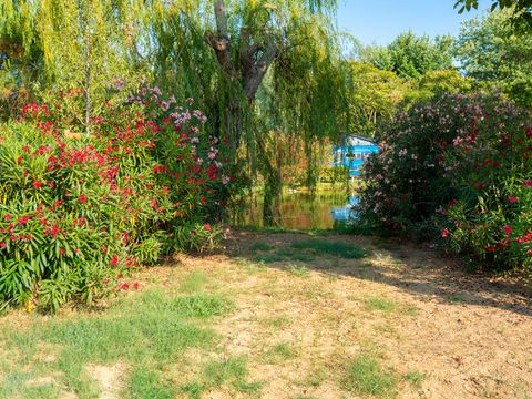 Emplacement - Pitch Standard Laguna