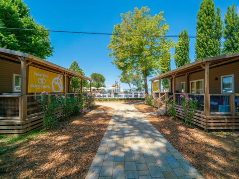 Trasimeno Glamping Resort  - Camping Pérouse - Image N°4