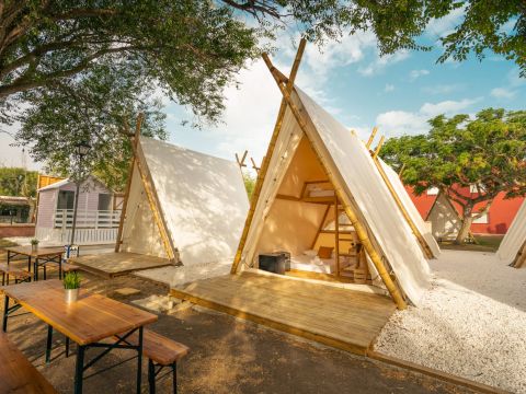 Kampaoh El Palmar - Camping Cadix - Image N°21