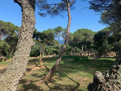 Kampaoh Calella - Camping Barcelone - Image N°16