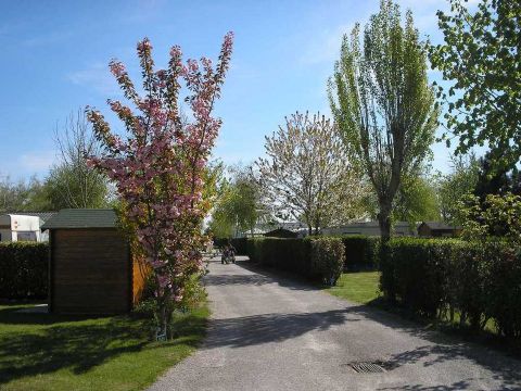 Camping des Crocs - Camping Somme - Image N°5
