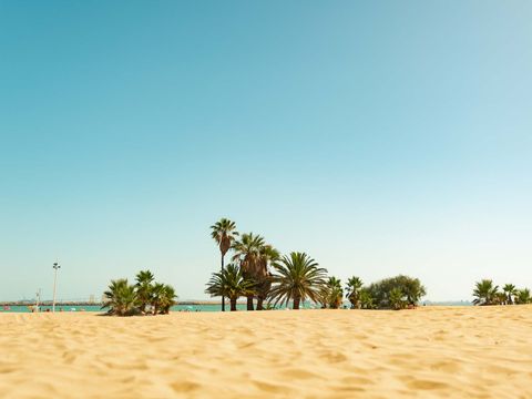 Kampaoh El Puerto de Santa Maria - Camping Cadix - Image N°20