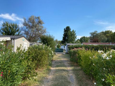 Camping de l'Arnel - Camping Hérault - Image N°15