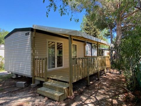 MOBILHOME 4 personnes - Riviera Beach - 32m2 - 2 ch -