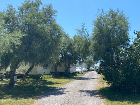 Camping de l'Arnel - Camping Hérault - Image N°24